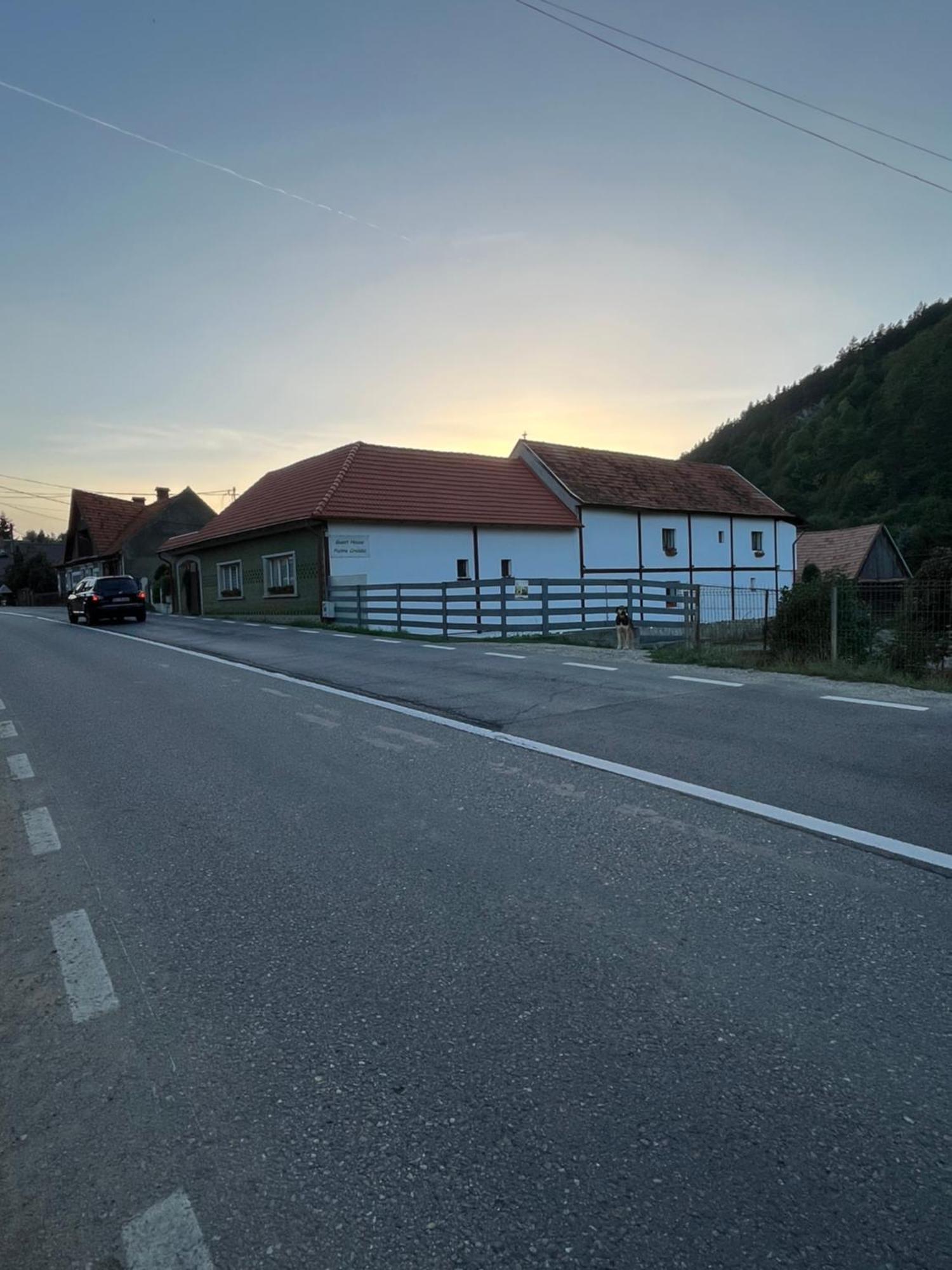 Guest House Piatra Craiului Bran  Exterior photo