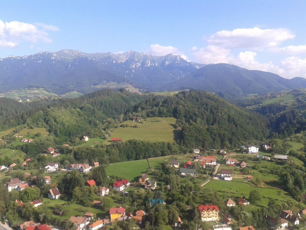 Guest House Piatra Craiului Bran  Exterior photo