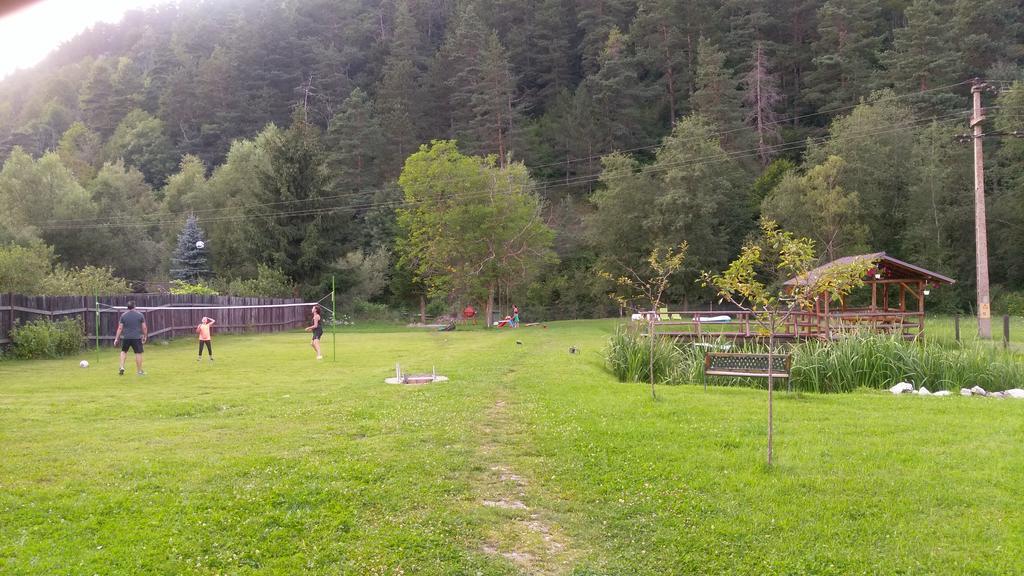Guest House Piatra Craiului Bran  Exterior photo